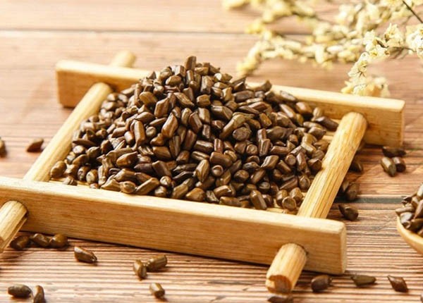 Thảo quyết minh – Dược liệu quý giúp an thần, hạ huyết áp và cải thiện giấc ngủ Thảo quyết minh – Dược liệu quý giúp an thần, hạ huyết áp và cải thiện giấc ngủ