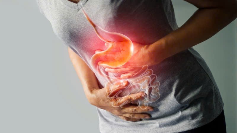 Hồi đầu thảo - Dược liệu quý ẩn mình giữa miền núi phía Bắc Hồi đầu thảo - Dược liệu quý ẩn mình giữa miền núi phía Bắc