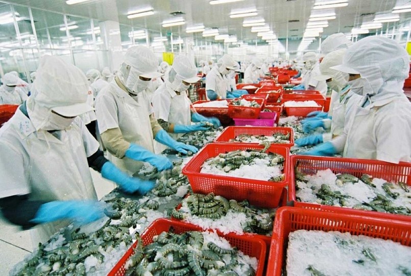 Minh bạch nguồn gốc: Bước ngoặt cho thủy sản Việt ra thế giới Minh bạch nguồn gốc: Bước ngoặt cho thủy sản Việt ra thế giới