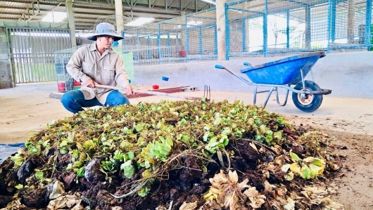 Biến phế phẩm nông nghiệp thành 'vàng'
