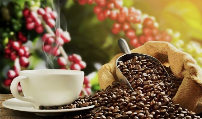 Giải bài toán thuế, mở dòng vốn cho doanh nghiệp cà phê Giải bài toán thuế, mở dòng vốn cho doanh nghiệp cà phê