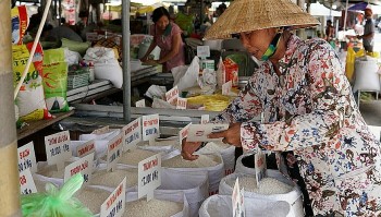 Xuất khẩu gạo giảm tốc, thị trường trong nước trầm lắng cuối vụ