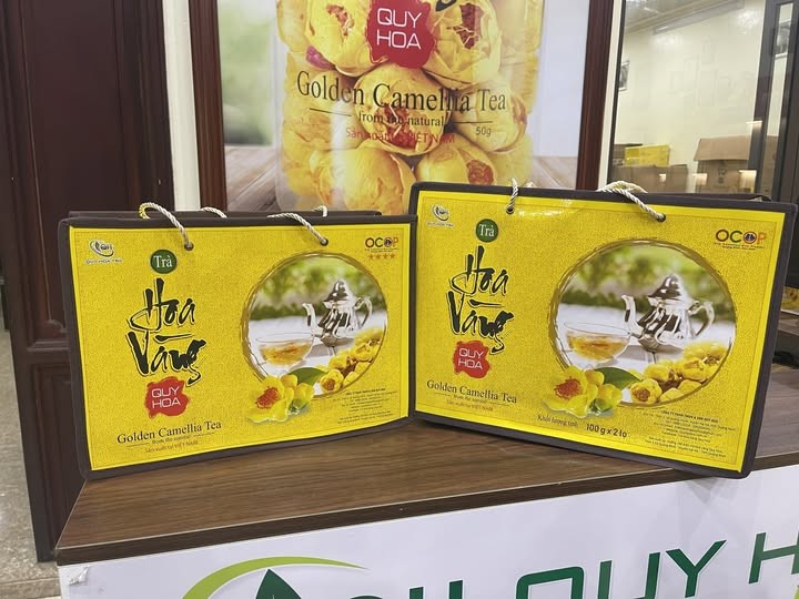 Lan tỏa thương hiệu từ giá trị văn hóa và khát vọng vươn xa Lan tỏa thương hiệu từ giá trị văn hóa và khát vọng vươn xa