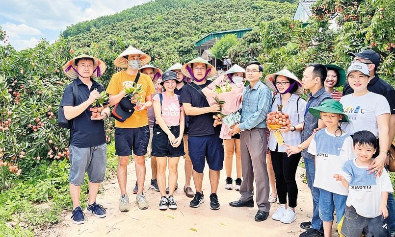 Chủ động chuẩn hóa quy trình đánh giá, công nhận sản phẩm: Nền tảng giúp Bắc Ninh đưa sản phẩm OCOP vươn xa