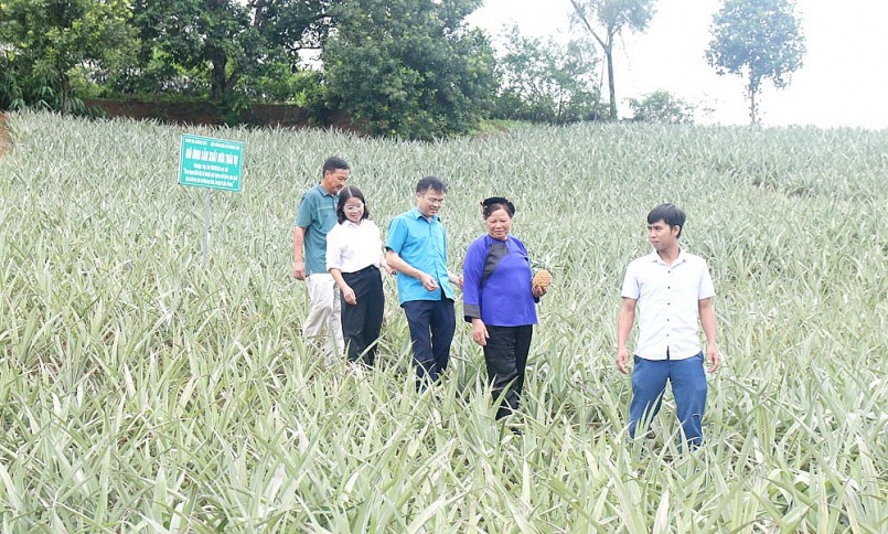 Chủ động chuẩn hóa quy trình đánh giá, công nhận sản phẩm: Nền tảng giúp Bắc Ninh đưa sản phẩm OCOP vươn xa