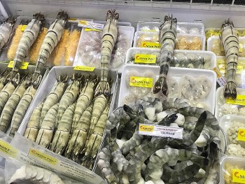 Xuất khẩu tôm Việt Nam tăng 22% nhờ nhu cầu phục hồi tại các thị trường lớn
