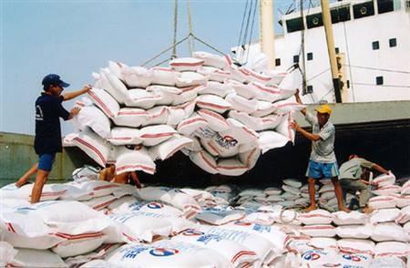 Ngành gạo Việt Nam đối mặt “áp lực kép”: giá lúa giảm sâu, doanh nghiệp thiếu vốn vì chậm hoàn thuế