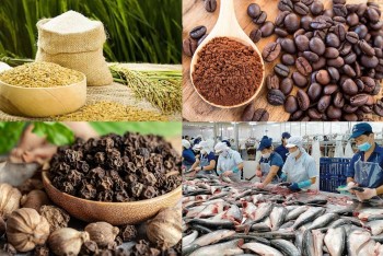 Quy tắc xuất xứ –