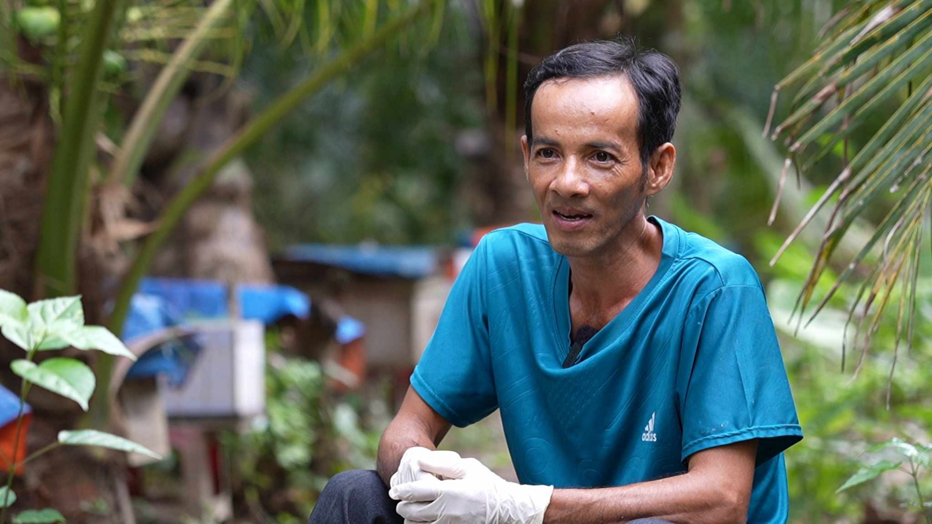 Mật ong Tín Phát: Khẳng định tinh hoa Việt từ “xứ dừa” ra thế giới Mật ong Tín Phát: Khẳng định tinh hoa Việt từ “xứ dừa” ra thế giới