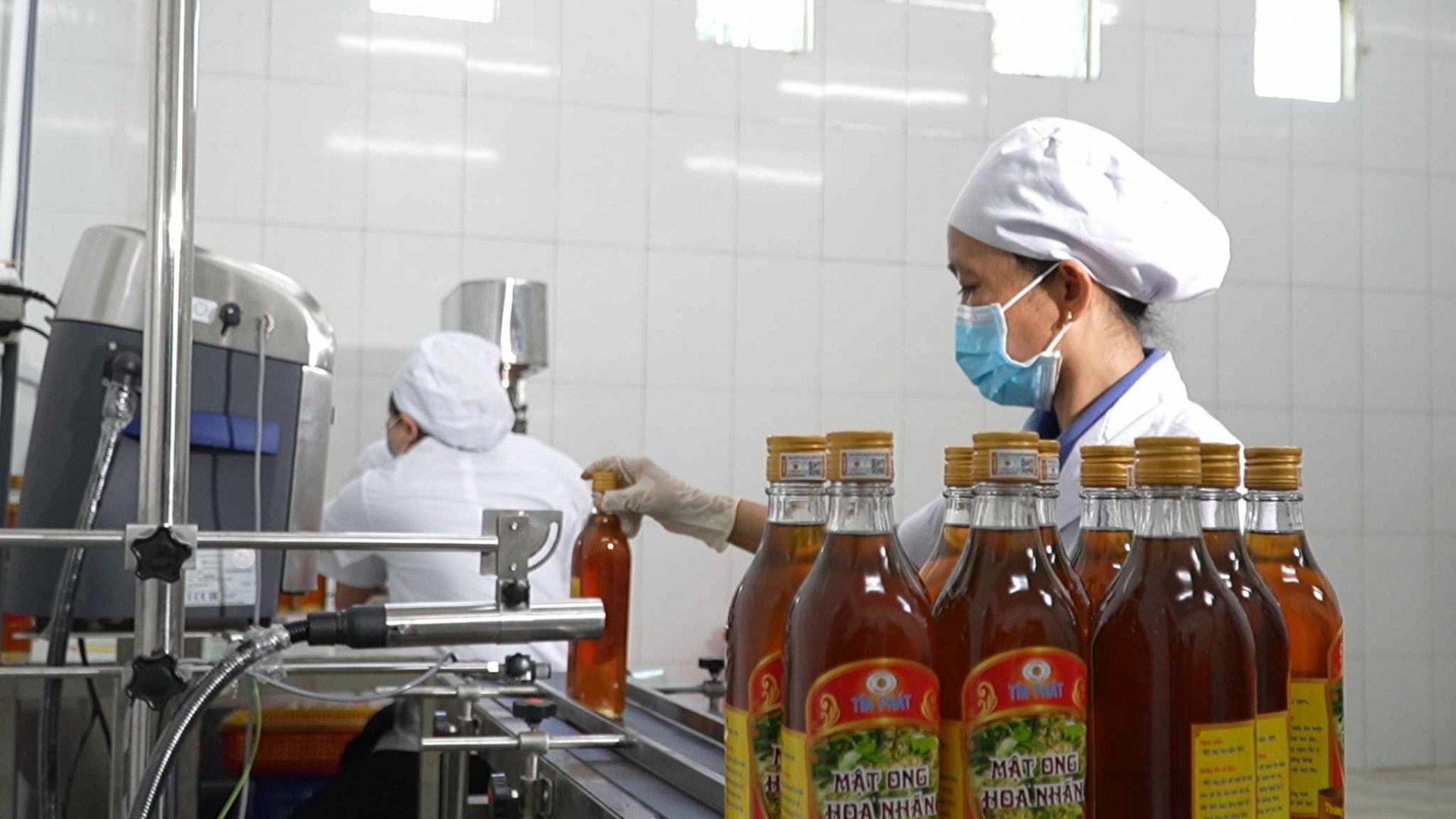 Mật ong Tín Phát: Khẳng định tinh hoa Việt từ “xứ dừa” ra thế giới Mật ong Tín Phát: Khẳng định tinh hoa Việt từ “xứ dừa” ra thế giới