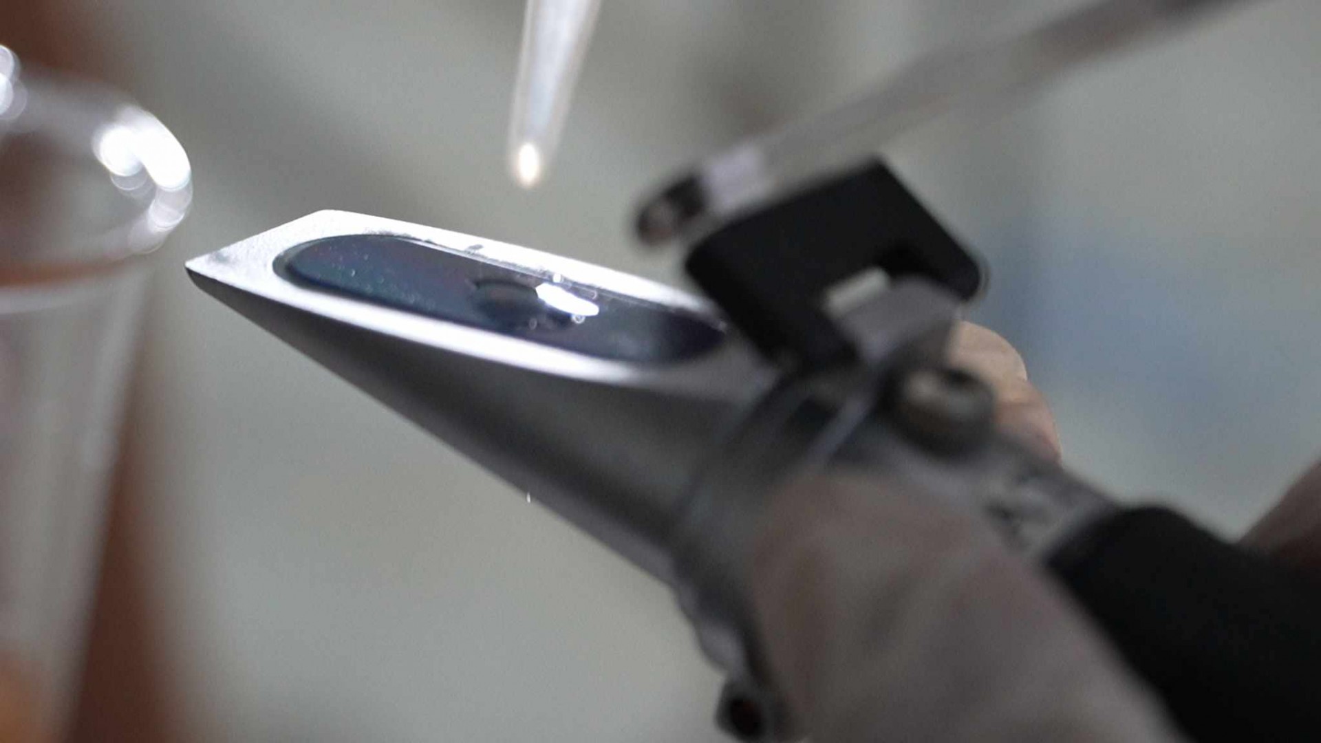 Nguồn từ thiên nhiên “Mật ong Hoa Dừa”