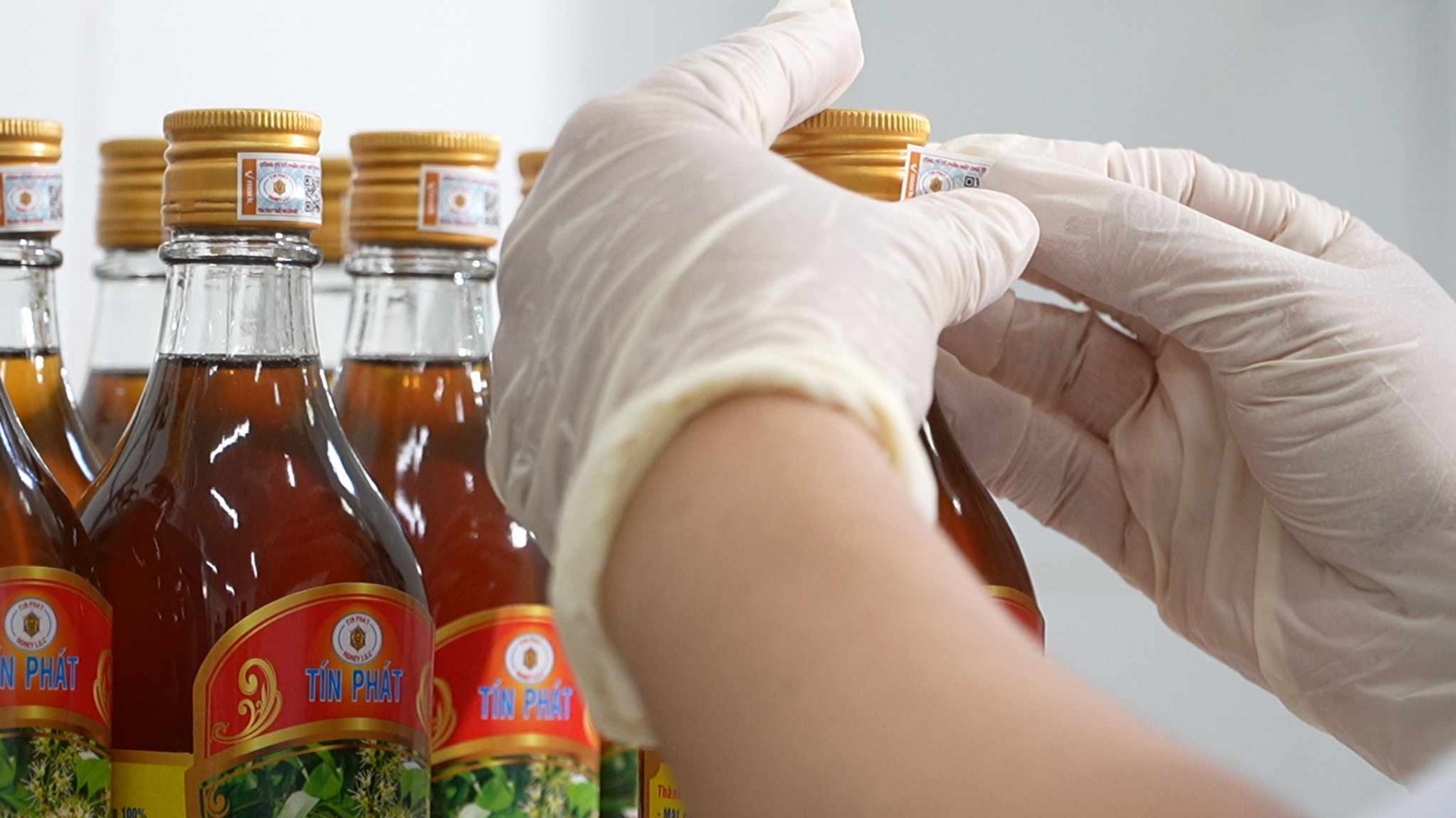 Mật ong Tín Phát: Khẳng định tinh hoa Việt từ “xứ dừa” ra thế giới Mật ong Tín Phát: Khẳng định tinh hoa Việt từ “xứ dừa” ra thế giới