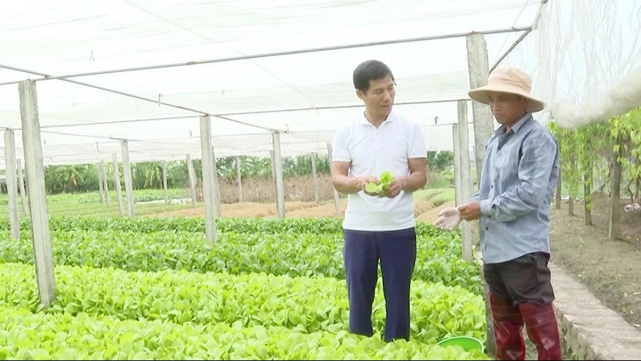 Nâng tầm giá trị nông sản từ hướng đi nông nghiệp hữu cơ