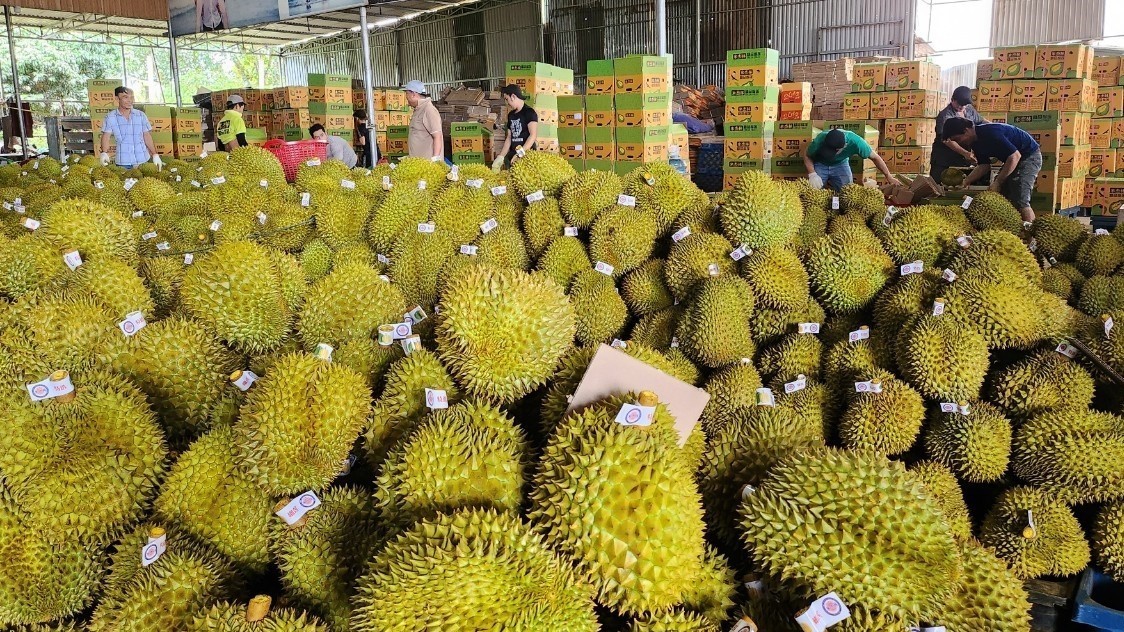 Quan hệ thương mại Việt – Trung bước vào giai đoạn phát triển mới