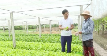 Nâng tầm giá trị nông sản từ hướng đi nông nghiệp hữu cơ