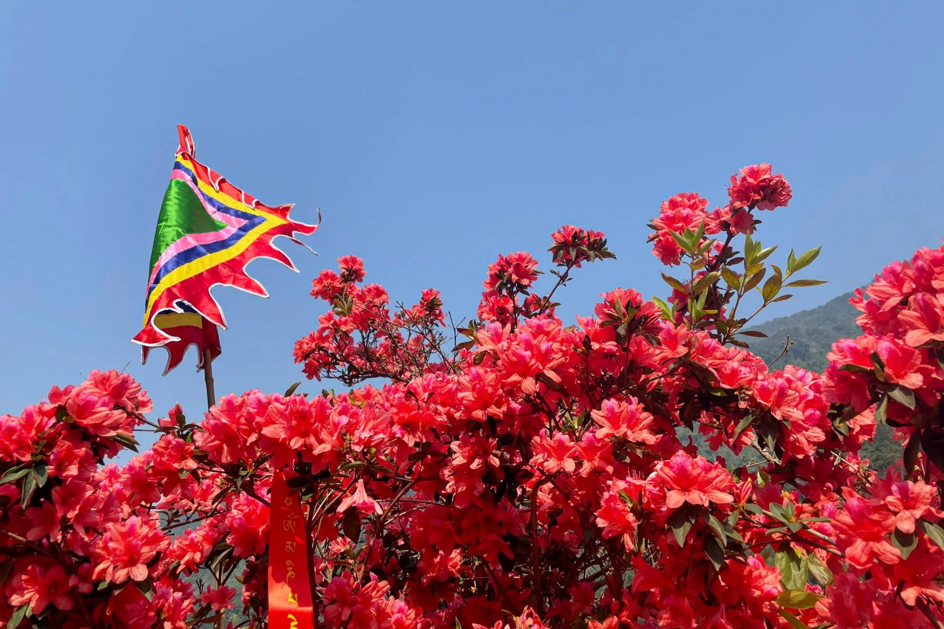 Tam Đảo – Thiên đường giữa lưng chừng mây Tam Đảo – Thiên đường giữa lưng chừng mây