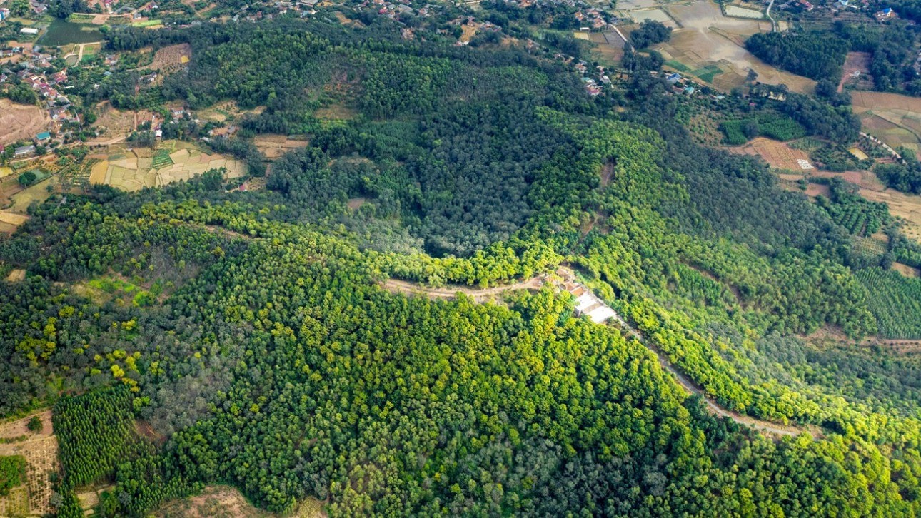 Khám phá núi Dành: Điểm du lịch tâm linh và vương quốc sâm nam quý hiếm