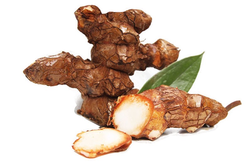 Khúc khắc – Vị thuốc quý giúp giải độc, trị gout và làm mạnh gân cốt Khúc khắc – Vị thuốc quý giúp giải độc, trị gout và làm mạnh gân cốt