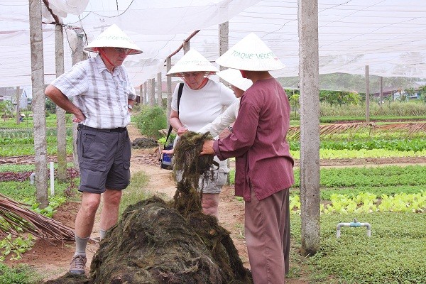 Làng rau Trà Quế: Di sản xanh của du lịch toàn cầu Làng rau Trà Quế: Di sản xanh của du lịch toàn cầu