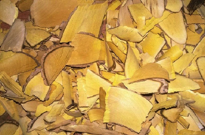 Hoàng liên ô rô – 