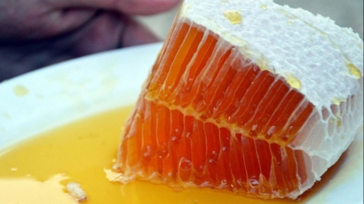 Mật ong giá tiền triệu: Cách phân biệt thật giả để không mất tiền oan