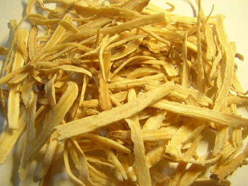 Bí mật của sa sâm: Vị thuốc quý trong y học cổ truyền trị ho khan, bổ vị