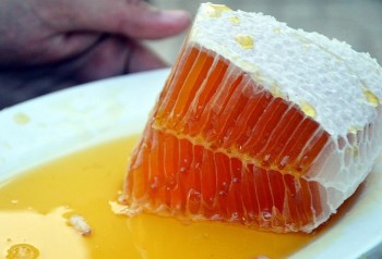 Mật ong giá tiền triệu: Cách phân biệt thật giả để không mất tiền oan