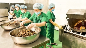 Đặc sản lươn đồng Nghệ An đạt sao OCOP, vươn ra thị trường quốc tế