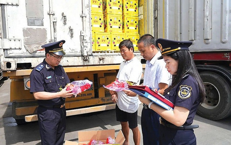 Hải quan tập trung nguồn lực lấy ý kiến hoàn thiện Đề án mô hình thông quan tập trung Hải quan tập trung nguồn lực lấy ý kiến hoàn thiện Đề án mô hình thông quan tập trung