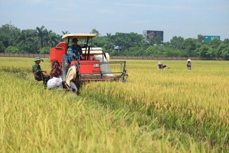 Thị trường gạo toàn cầu “đóng băng”: Việt Nam xoay xở ra sao giữa vòng vây cạnh tranh? Thị trường gạo toàn cầu “đóng băng”: Việt Nam xoay xở ra sao giữa vòng vây cạnh tranh?