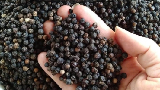 Giá hồ tiêu hôm nay 3/11: Chững lại sau tuần tăng 'phi mã', thị trường nín thở chờ đợi