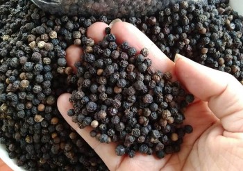 Giá hồ tiêu hôm nay 3/11: Chững lại sau tuần tăng 