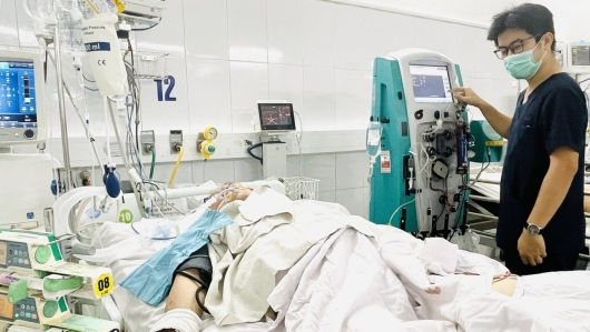 Gia tăng rắn độc cắn mùa mưa lũ: Sơ cứu sai cách có thể gây tử vong