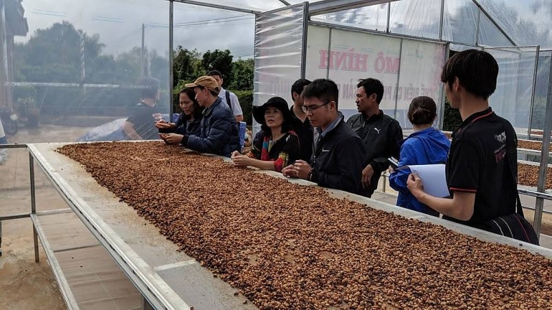 Cà phê Việt Nam lập kỷ lục xuất khẩu: Cơ hội vàng hay thách thức lớn?