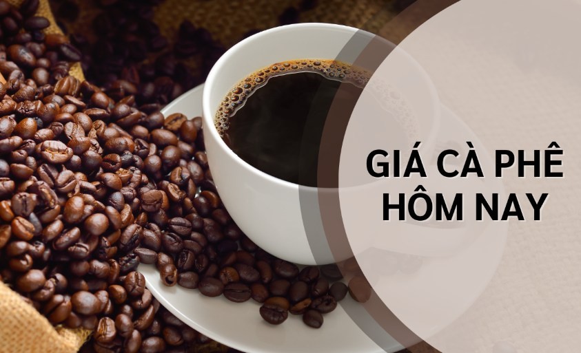 Giá cà phê hôm nay 4/11: Tăng vọt vì lo ngại bão Kalmaegi Giá cà phê hôm nay 4/11: Tăng vọt vì lo ngại bão Kalmaegi