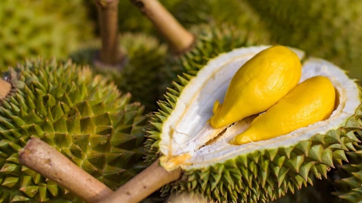 Ùn ứ xuất khẩu sầu riêng: Tình hình đã ổn định nhưng cần giải pháp căn cơ