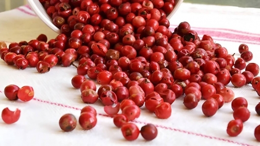 Giá hồ tiêu hôm nay 5/11: Bất ngờ giảm 1.000 đồng/kg