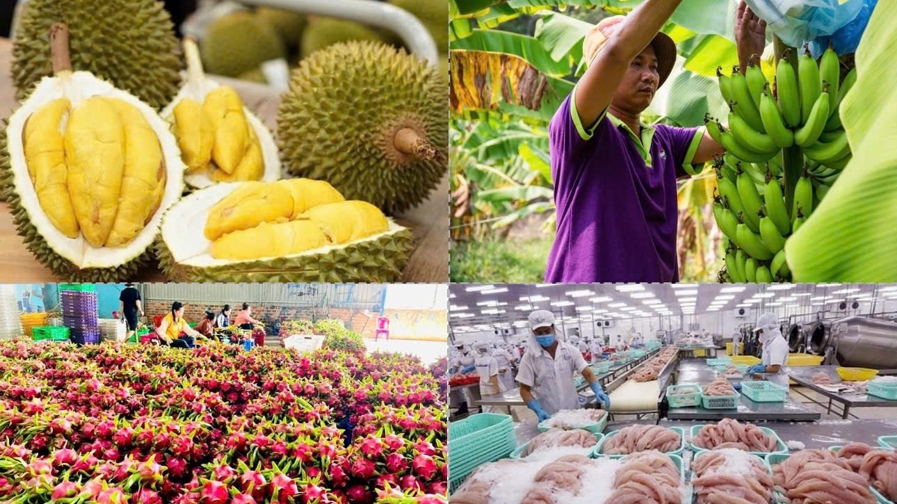 Xuất khẩu nông sản lập kỷ lục: Đạt hơn 58 tỷ USD sau 10 tháng