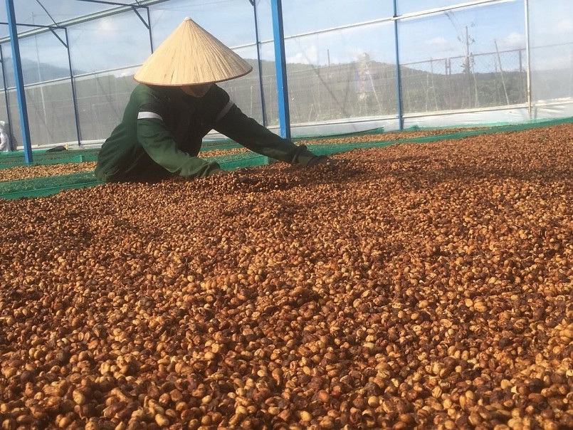 Xuất khẩu nông sản lập kỷ lục: Đạt hơn 58 tỷ USD sau 10 tháng Xuất khẩu nông sản lập kỷ lục: Đạt hơn 58 tỷ USD sau 10 tháng