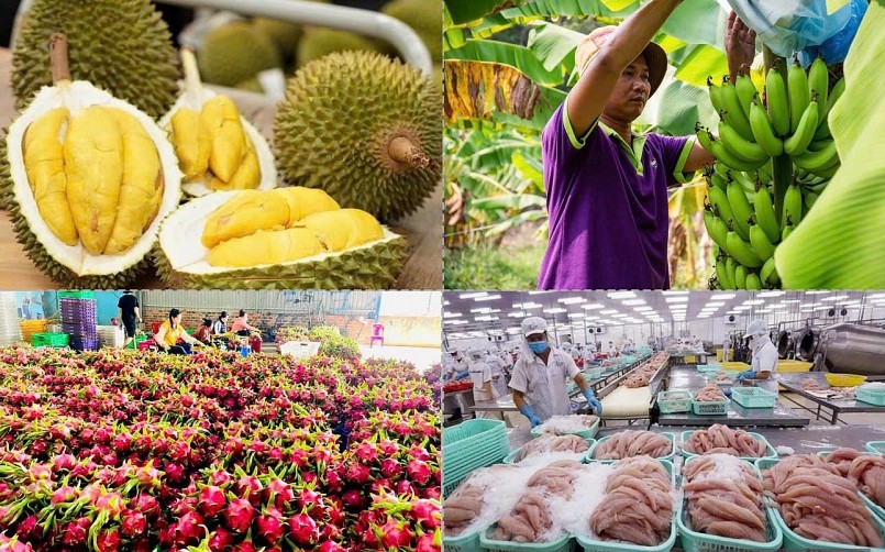 Xuất khẩu nông sản lập kỷ lục: Đạt hơn 58 tỷ USD sau 10 tháng Xuất khẩu nông sản lập kỷ lục: Đạt hơn 58 tỷ USD sau 10 tháng