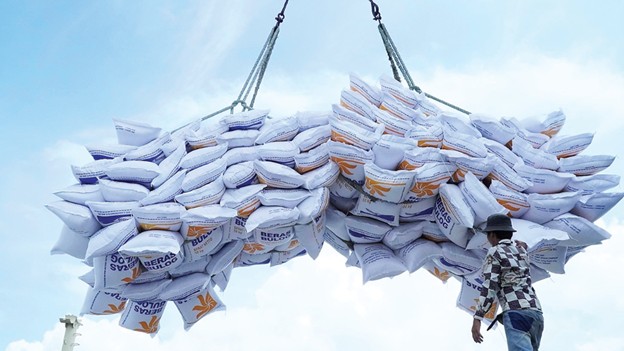 Tương lai hạt gạo Việt: Khi "thương hiệu" và "hương vị" quan trọng hơn giá cả