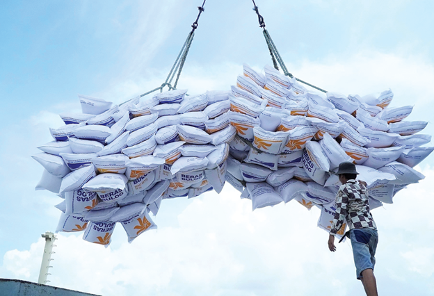 Tương lai hạt gạo Việt: Khi 