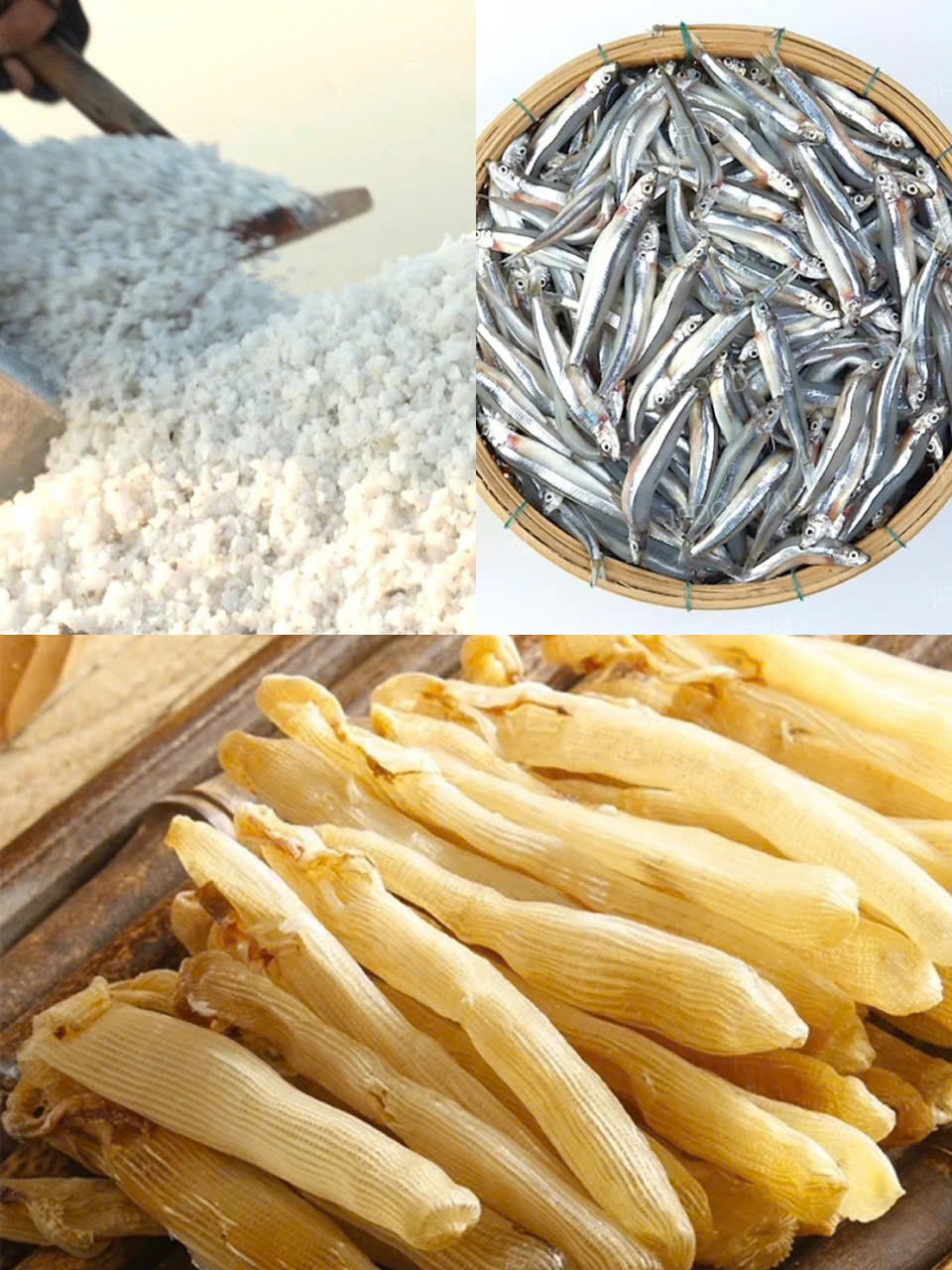 Nước mắm sá sùng Vân Đồn - Tinh tuý biển cả trong từng giọt nắm