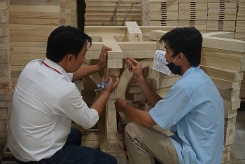 Lâm nghiệp Việt Nam tăng tốc đổi mới: Xây nền phát triển xanh, đa giá trị và hiện đại