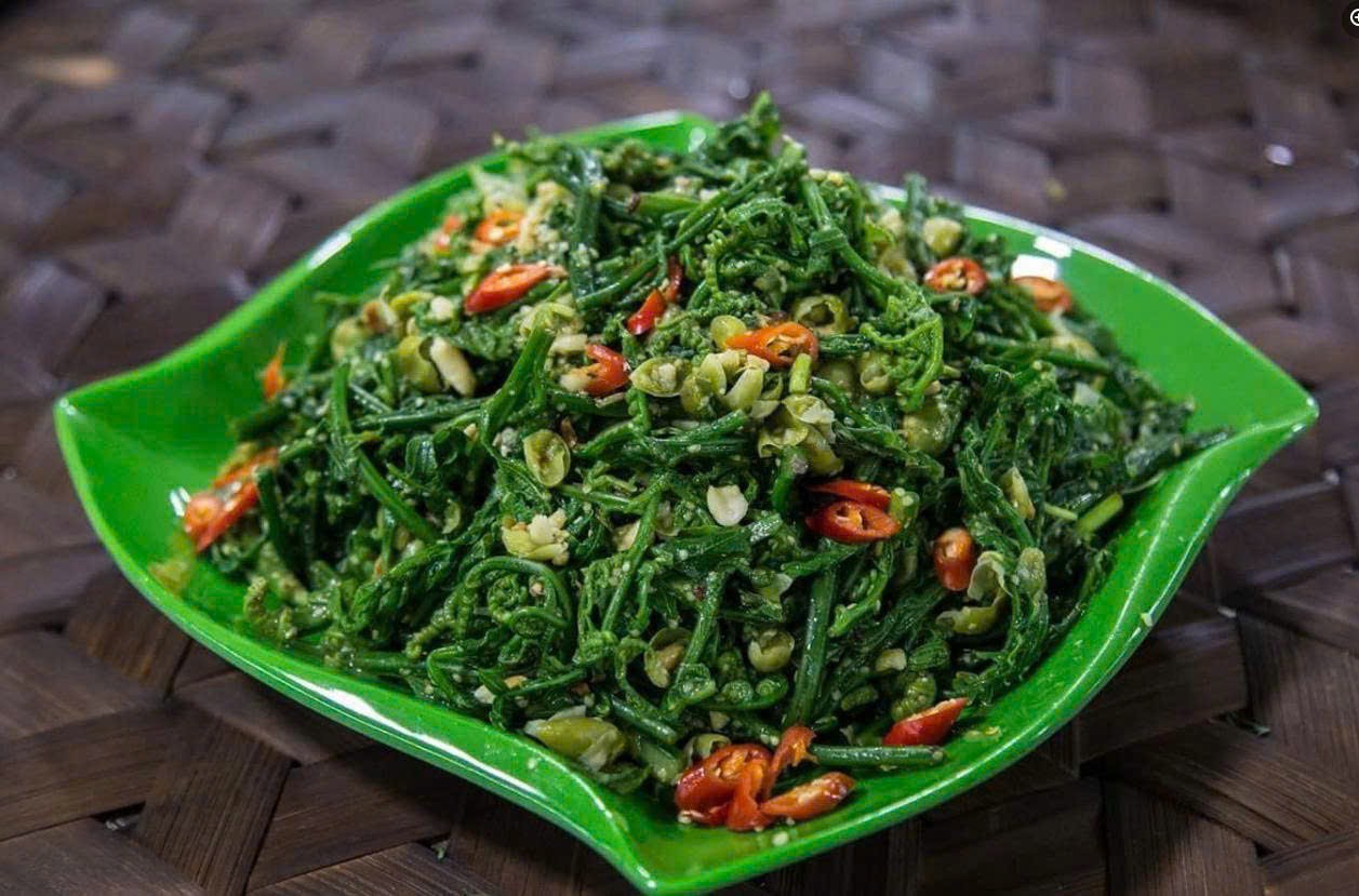 Nộm rau dớn – hương vị mộc mạc của núi rừng Tây Bắc