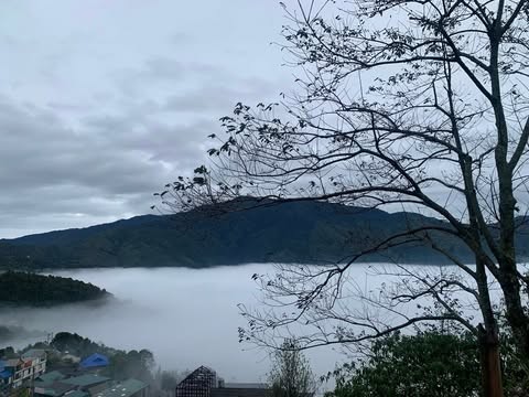 Thiên đường Tà Xùa đang vào mùa săn mây