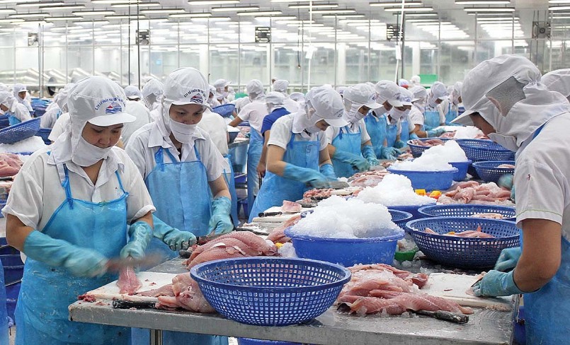 Gỡ “thẻ vàng” IUU: Bước tiến mới cho thủy sản Việt