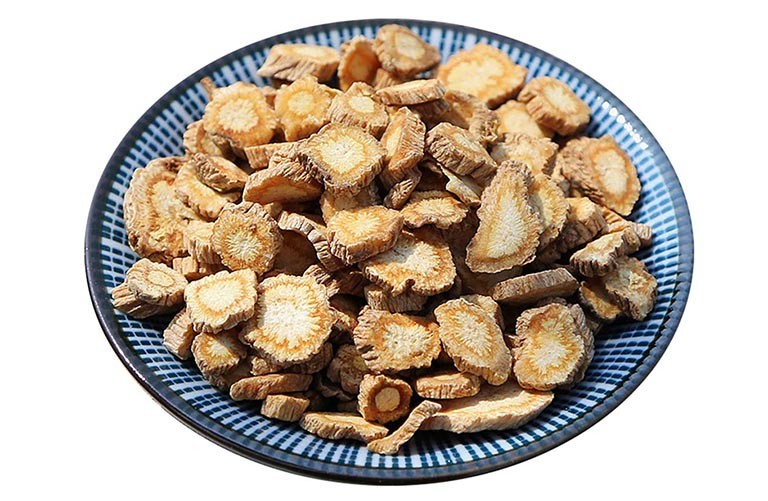 Phòng phong: Vị thuốc vàng chống “phong tà” ngàn đời vẫn quý