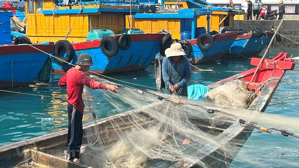 Muốn gỡ “thẻ vàng” IUU: Cần kiểm soát khai thác theo tàu, nghề