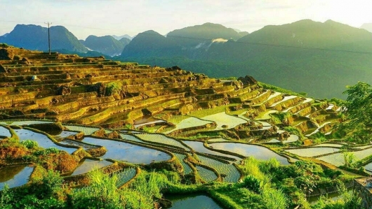 Pù Luông – Nơi người thành thị tìm về giữa rừng tre và ruộng vàng